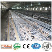 Automatische Geflügelfarm Pullet Cages Ausrüstung